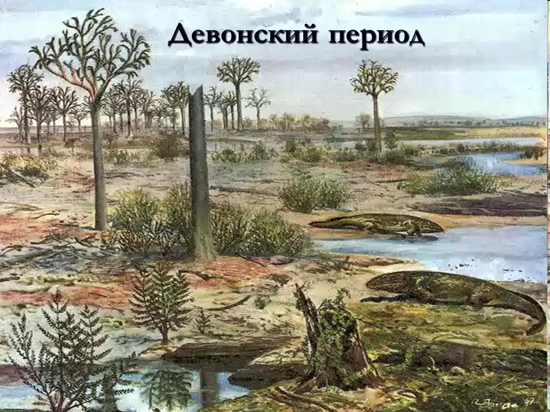 Девонский период